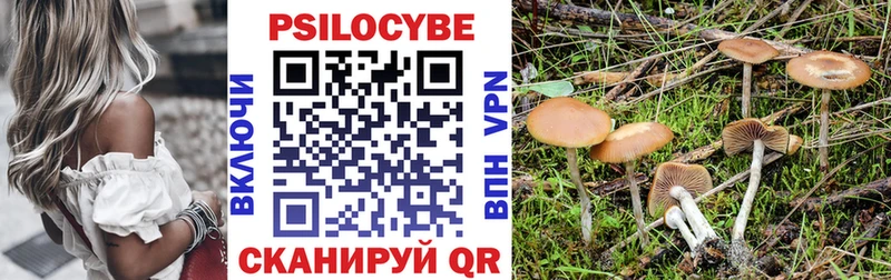 где продают   блэк спрут онион  Галлюциногенные грибы Psilocybine cubensis  Лермонтов 